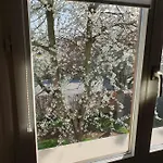 Apartamento L'ecrin Du Verger *