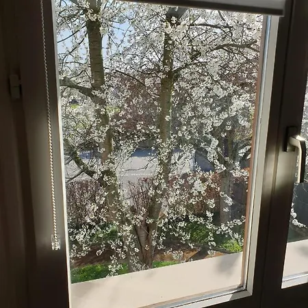 Apartamento L'ecrin Du Verger *