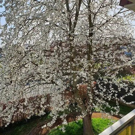 L’écrin Du Verger *