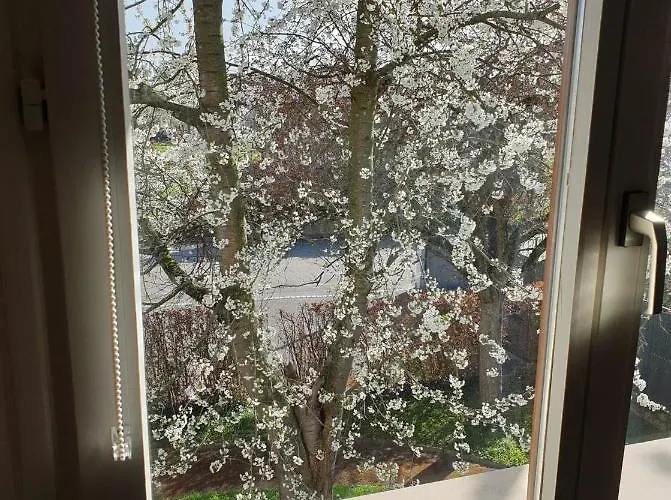 Daire L'ecrin Du Verger *